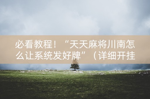 必看教程！“天天麻将川南怎么让系统发好牌”（详细开挂教程）-哔哩哔哩