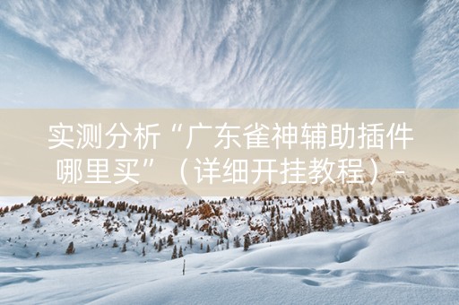 实测分析“广东雀神辅助插件哪里买”（详细开挂教程）-哔哩哔哩