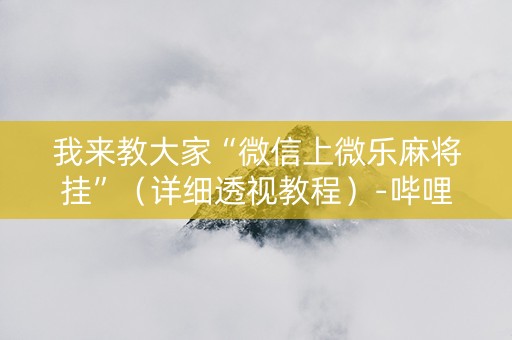 我来教大家“微信上微乐麻将挂”（详细透视教程）-哔哩哔哩