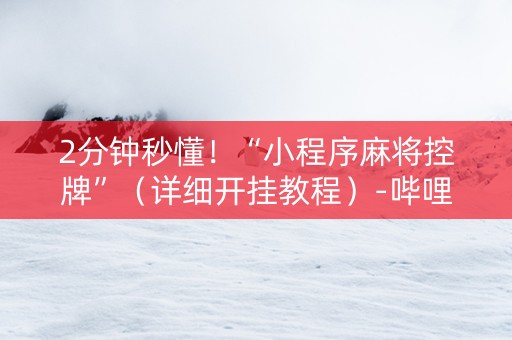 2分钟秒懂！“小程序麻将控牌”（详细开挂教程）-哔哩哔哩