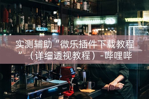 实测辅助“微乐插件下载教程”（详细透视教程）-哔哩哔哩