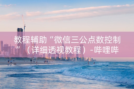 教程辅助“微信三公点数控制”（详细透视教程）-哔哩哔哩