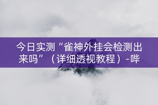 今日实测“雀神外挂会检测出来吗”（详细透视教程）-哔哩哔哩