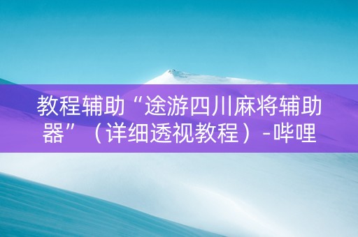 教程辅助“途游四川麻将辅助器”（详细透视教程）-哔哩哔哩