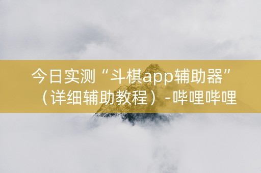 今日实测“斗棋app辅助器”（详细辅助教程）-哔哩哔哩