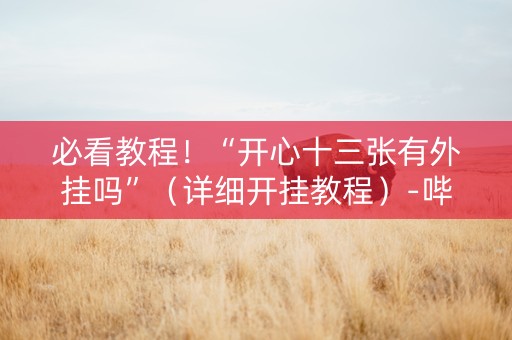 必看教程！“开心十三张有外挂吗”（详细开挂教程）-哔哩哔哩