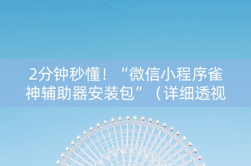 2分钟秒懂！“微信小程序雀神辅助器安装包”（详细透视教程）-哔哩哔哩