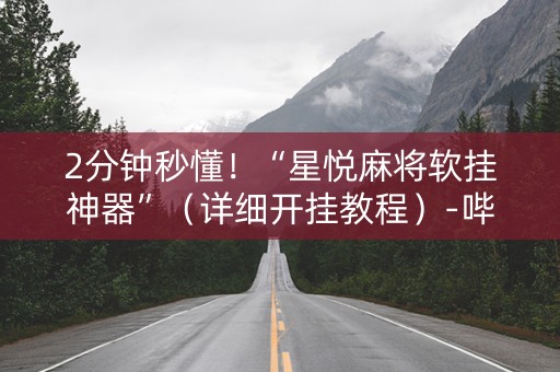 2分钟秒懂！“星悦麻将软挂神器”（详细开挂教程）-哔哩哔哩