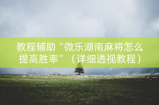 教程辅助“微乐湖南麻将怎么提高胜率”（详细透视教程）-哔哩哔哩