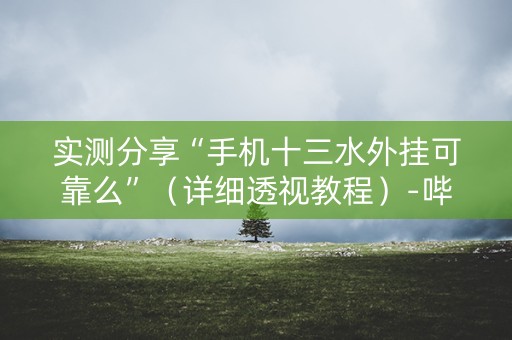 实测分享“手机十三水外挂可靠么”（详细透视教程）-哔哩哔哩
