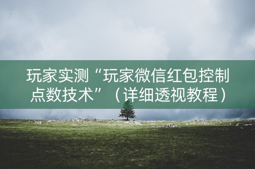 玩家实测“玩家微信红包控制点数技术”（详细透视教程）-哔哩哔哩