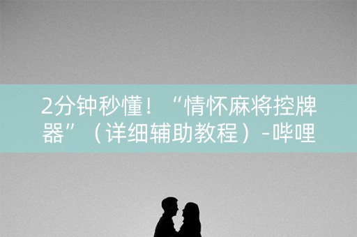 2分钟秒懂！“情怀麻将控牌器”（详细辅助教程）-哔哩哔哩