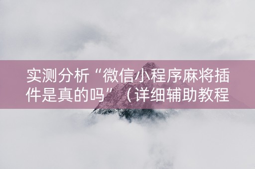 实测分析“微信小程序麻将插件是真的吗”（详细辅助教程）-哔哩哔哩
