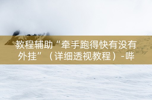 教程辅助“牵手跑得快有没有外挂”（详细透视教程）-哔哩哔哩
