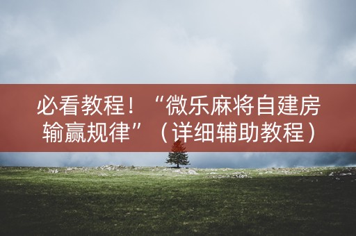 必看教程！“微乐麻将自建房输赢规律”（详细辅助教程）-哔哩哔哩