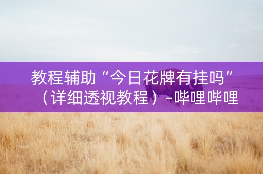 教程辅助“今日花牌有挂吗”（详细透视教程）-哔哩哔哩