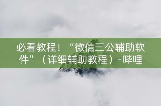 必看教程！“微信三公辅助软件”（详细辅助教程）-哔哩哔哩