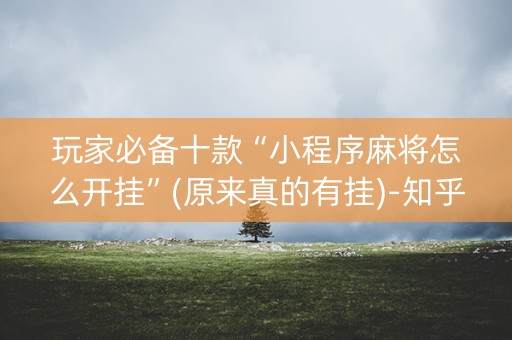 玩家必备十款“小程序麻将怎么开挂”(原来真的有挂)-知乎