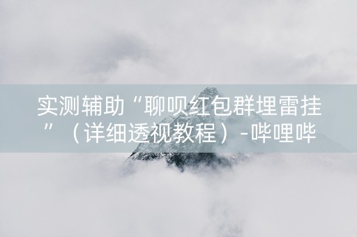 实测辅助“聊呗红包群埋雷挂”（详细透视教程）-哔哩哔哩