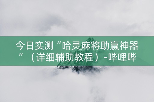 今日实测“哈灵麻将助赢神器”（详细辅助教程）-哔哩哔哩