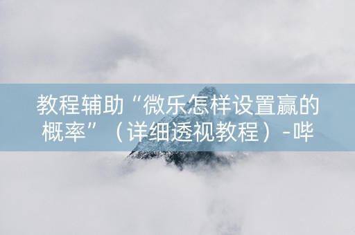 教程辅助“微乐怎样设置赢的概率”（详细透视教程）-哔哩哔哩
