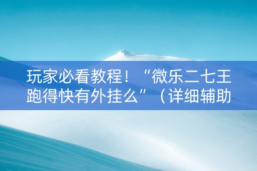 玩家必看教程！“微乐二七王跑得快有外挂么”（详细辅助教程）-哔哩哔哩