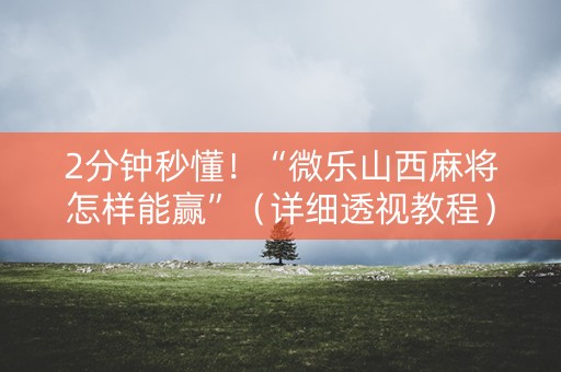2分钟秒懂！“微乐山西麻将怎样能赢”（详细透视教程）-哔哩哔哩