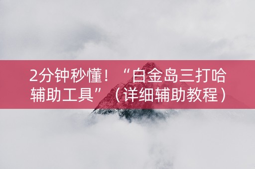 2分钟秒懂！“白金岛三打哈辅助工具”（详细辅助教程）-哔哩哔哩