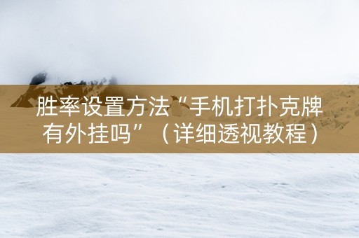 胜率设置方法“手机打扑克牌有外挂吗”（详细透视教程）-哔哩哔哩