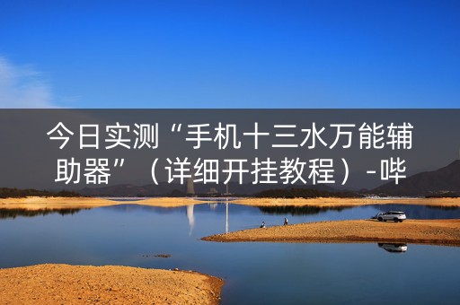 今日实测“手机十三水万能辅助器”（详细开挂教程）-哔哩哔哩