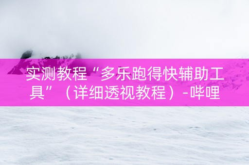 实测教程“多乐跑得快辅助工具”（详细透视教程）-哔哩哔哩