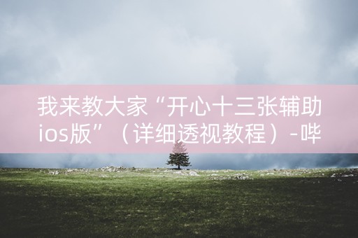 我来教大家“开心十三张辅助ios版”（详细透视教程）-哔哩哔哩