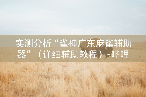 实测分析“雀神广东麻雀辅助器”（详细辅助教程）-哔哩哔哩