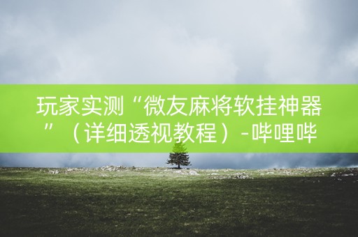 玩家实测“微友麻将软挂神器”（详细透视教程）-哔哩哔哩