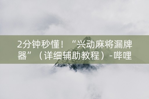 2分钟秒懂！“兴动麻将漏牌器”（详细辅助教程）-哔哩哔哩