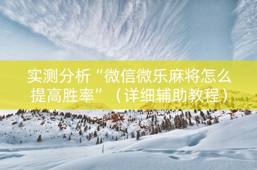 实测分析“微信微乐麻将怎么提高胜率”（详细辅助教程）-哔哩哔哩