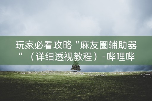 玩家必看攻略“麻友圈辅助器”（详细透视教程）-哔哩哔哩