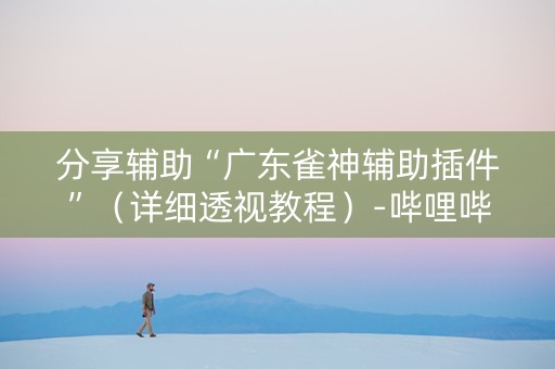 分享辅助“广东雀神辅助插件”（详细透视教程）-哔哩哔哩