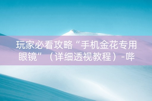 玩家必看攻略“手机金花专用眼镜”（详细透视教程）-哔哩哔哩