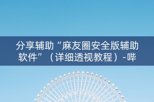 分享辅助“麻友圈安全版辅助软件”（详细透视教程）-哔哩哔哩