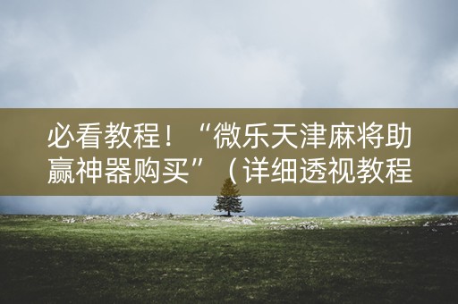 必看教程！“微乐天津麻将助赢神器购买”（详细透视教程）-哔哩哔哩