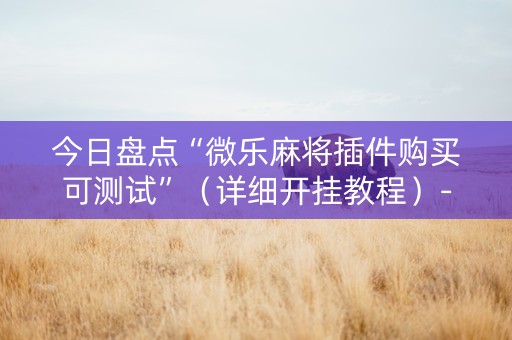 今日盘点“微乐麻将插件购买可测试”（详细开挂教程）-哔哩哔哩