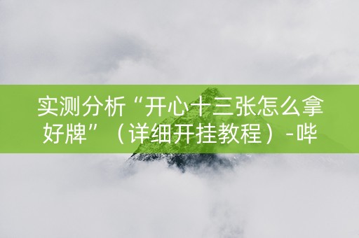 实测分析“开心十三张怎么拿好牌”（详细开挂教程）-哔哩哔哩