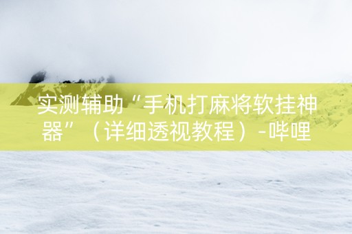 实测辅助“手机打麻将软挂神器”（详细透视教程）-哔哩哔哩