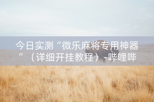 今日实测“微乐麻将专用神器”（详细开挂教程）-哔哩哔哩