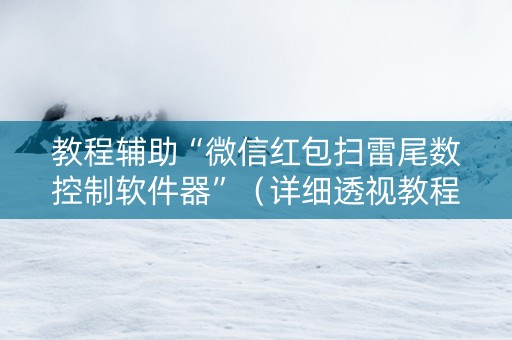 教程辅助“微信红包扫雷尾数控制软件器”（详细透视教程）-哔哩哔哩