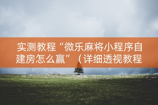 实测教程“微乐麻将小程序自建房怎么赢”（详细透视教程）-哔哩哔哩