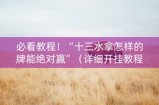 必看教程！“十三水拿怎样的牌能绝对赢”（详细开挂教程）-哔哩哔哩