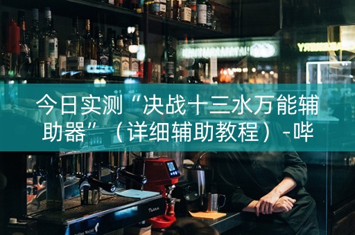 今日实测“决战十三水万能辅助器”（详细辅助教程）-哔哩哔哩