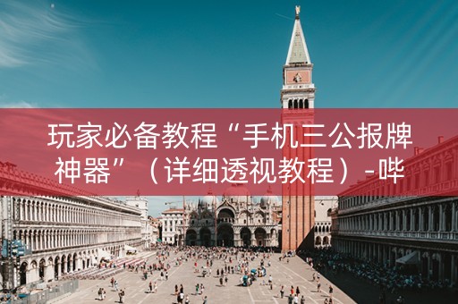 玩家必备教程“手机三公报牌神器”（详细透视教程）-哔哩哔哩